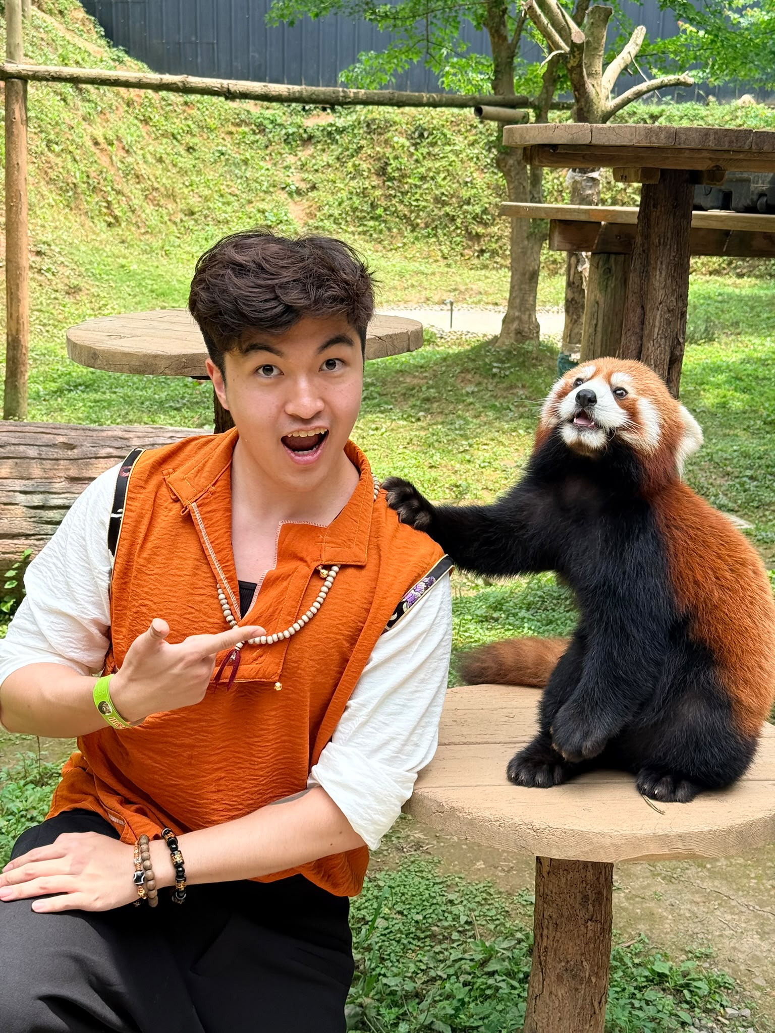 Lunch with Little Lotus 小莲花 the Red Panda, at Red Panda Forest Park Research and Conservation Center